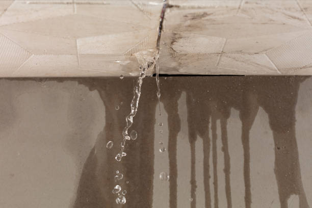 Professional Flood Damage Cleanup technician working in Mayville, MI